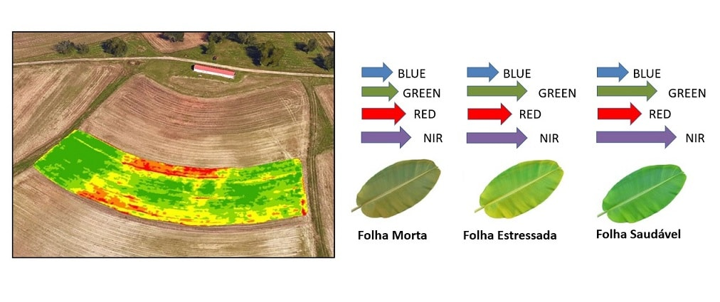 Ndvi Para Que Serve