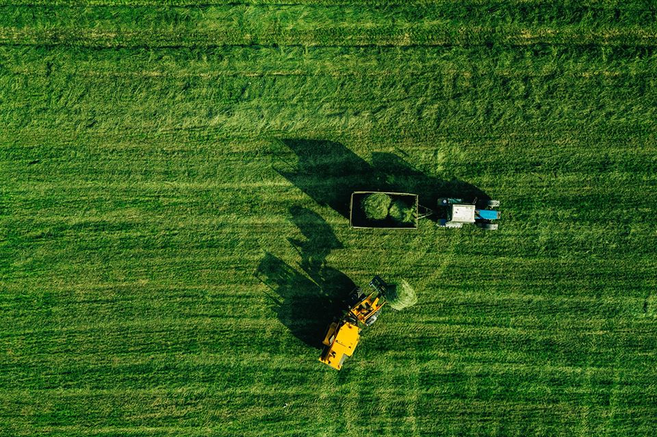 O FUTURO DA ALIMENTAÇÃO: PRODUZINDO MAIS NA MESMA ÁREA (Parte I)