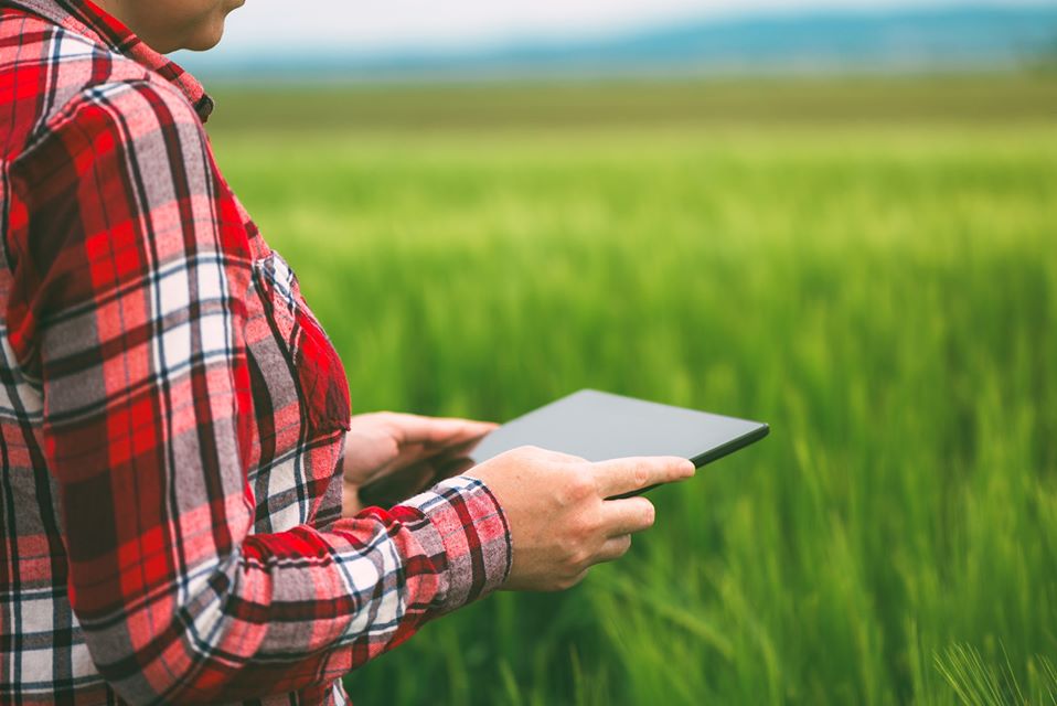 MANEJO DE DADOS NA PROPRIEDADE AGRÍCOLA