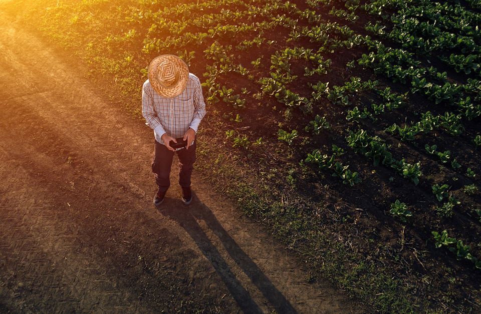 5 tecnologias que estão mudando a indústria agropecuária