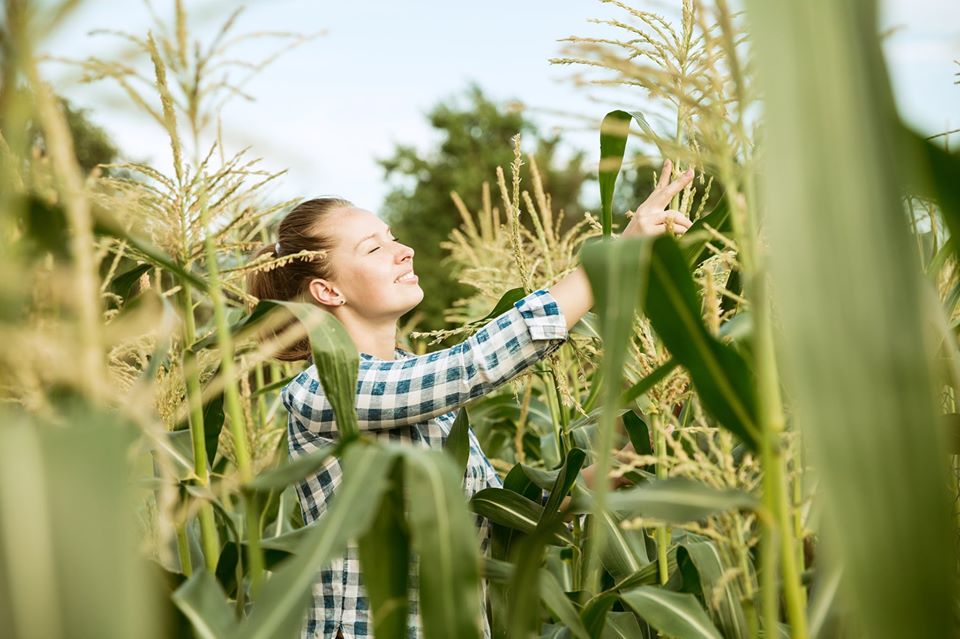 O plantio acabou e agora, o que fazem os agricultores?