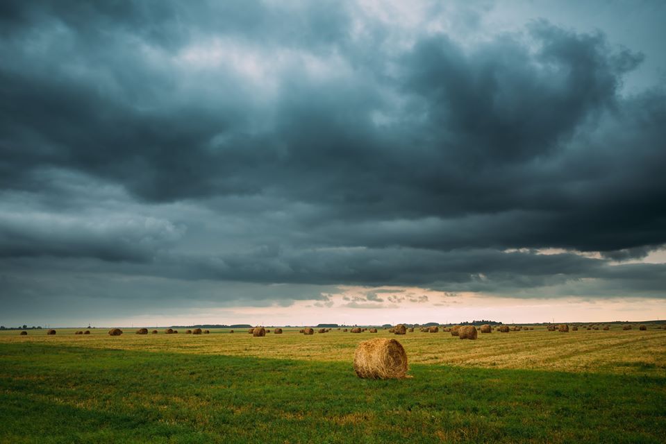 Tudo que Você Precisa Saber Sobre Variabilidade Climática e Agricultura de Precisão