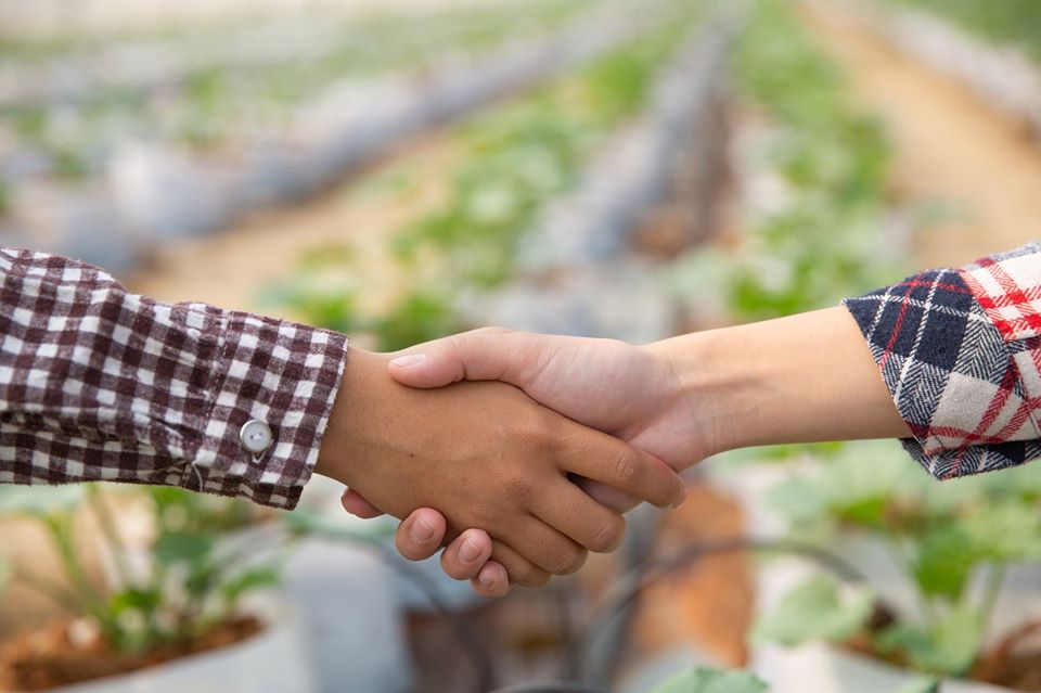 FIDELIZE CLIENTES NA CONSULTORIA AGRONÔMICA EM 9 PASSOS FUNDAMENTAIS