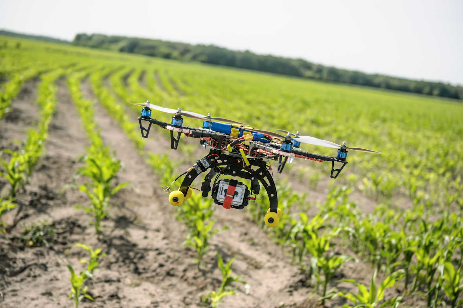 Uso de drones na agricultura vale a pena?