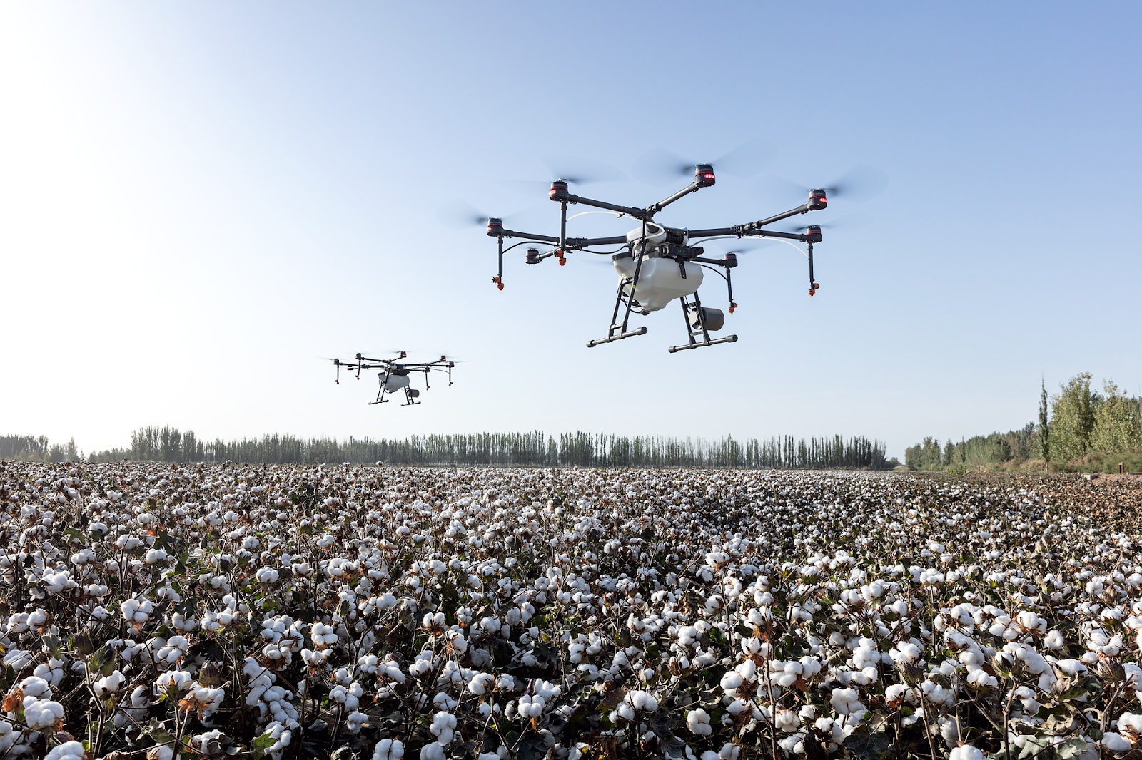 Pulverização com drones "Descubra como os drones de pulverização estão revolucionando a agricultura. Conheça suas vantagens, custos e aplicações.