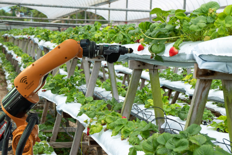 Tecnologias na Agricultura