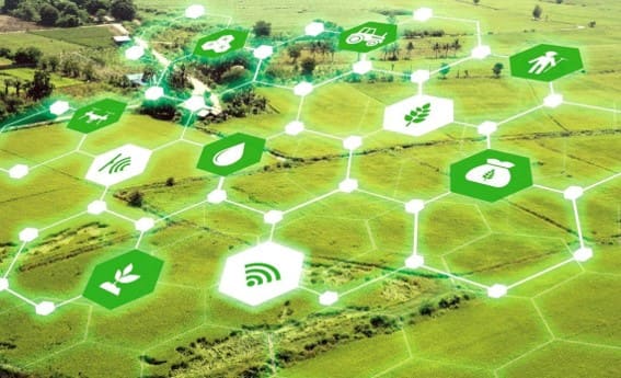 Agricultura Digital